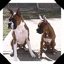Bella and Spencer