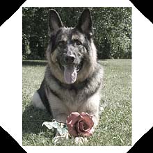 Deacon Deacon