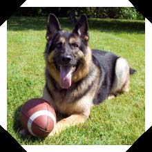 Deacon Deacon