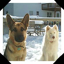 Rocky and Marshmellow Rocky and Marshmellow