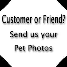 Send your photo for the Galleria!
