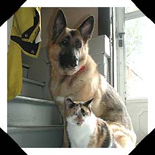 Zoe and Pickles