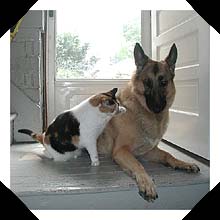 Zoe and Pickles