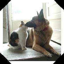 Zoe and Pickles