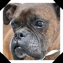 Archie close-up!