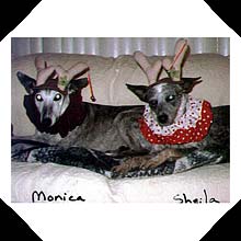 Monica and Sheila