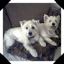 Spence and Rosie