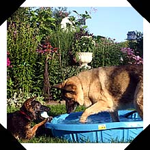 Zoe and Sadie