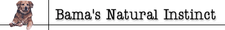 Bama's Natural [www.bamasnatural.com]