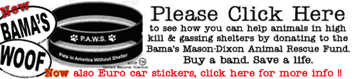 Click here to help animals in high kill & gassing shelters by donating to the Bama's Mason-Dixon Animal Rescue Fund. Buy a band. Save a life.