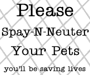 Please Spay/Neuter!